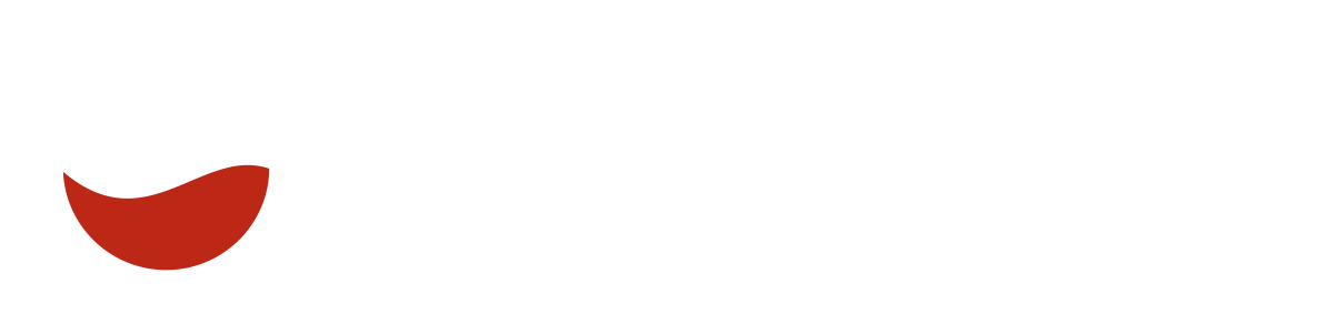 PicSel srl